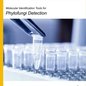 Molecular Identification Tools for Phytofungi Detection